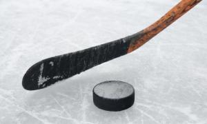 Зачем российскому хоккею премьер-лига?