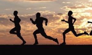 Виды легкой атлетики: бег, прыжки, метания, многоборье